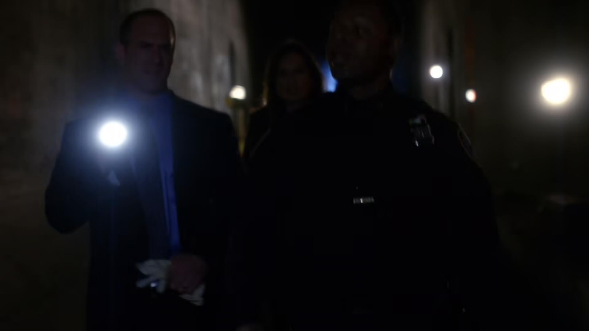 Law And Order SVU S11E02 1080p AV1 10bit MeGusta TGx