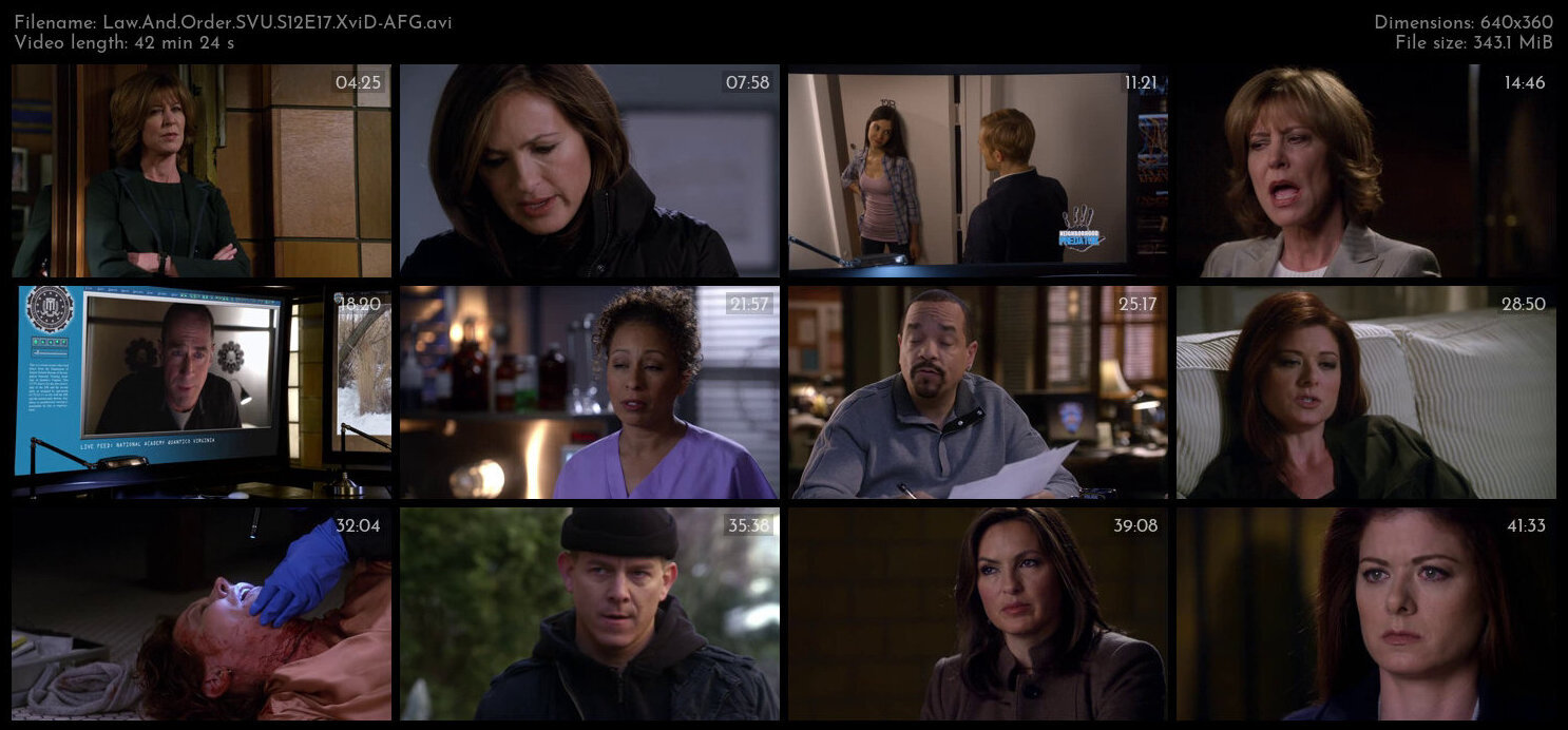 Law And Order SVU S12E17 XviD AFG TGx