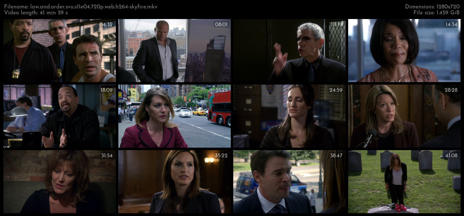 Law And Order SVU S11E04 720p WEB H264 SKYFiRE TGx