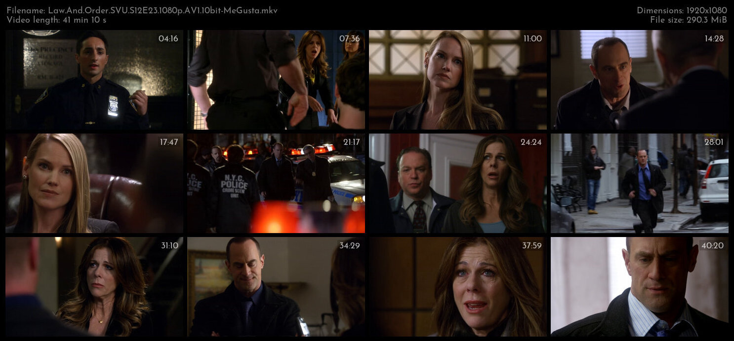 Law And Order SVU S12E23 1080p AV1 10bit MeGusta TGx