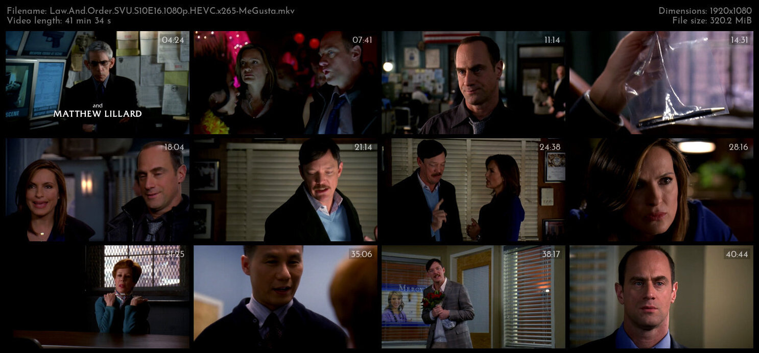 Law And Order SVU S10E16 1080p HEVC x265 MeGusta TGx