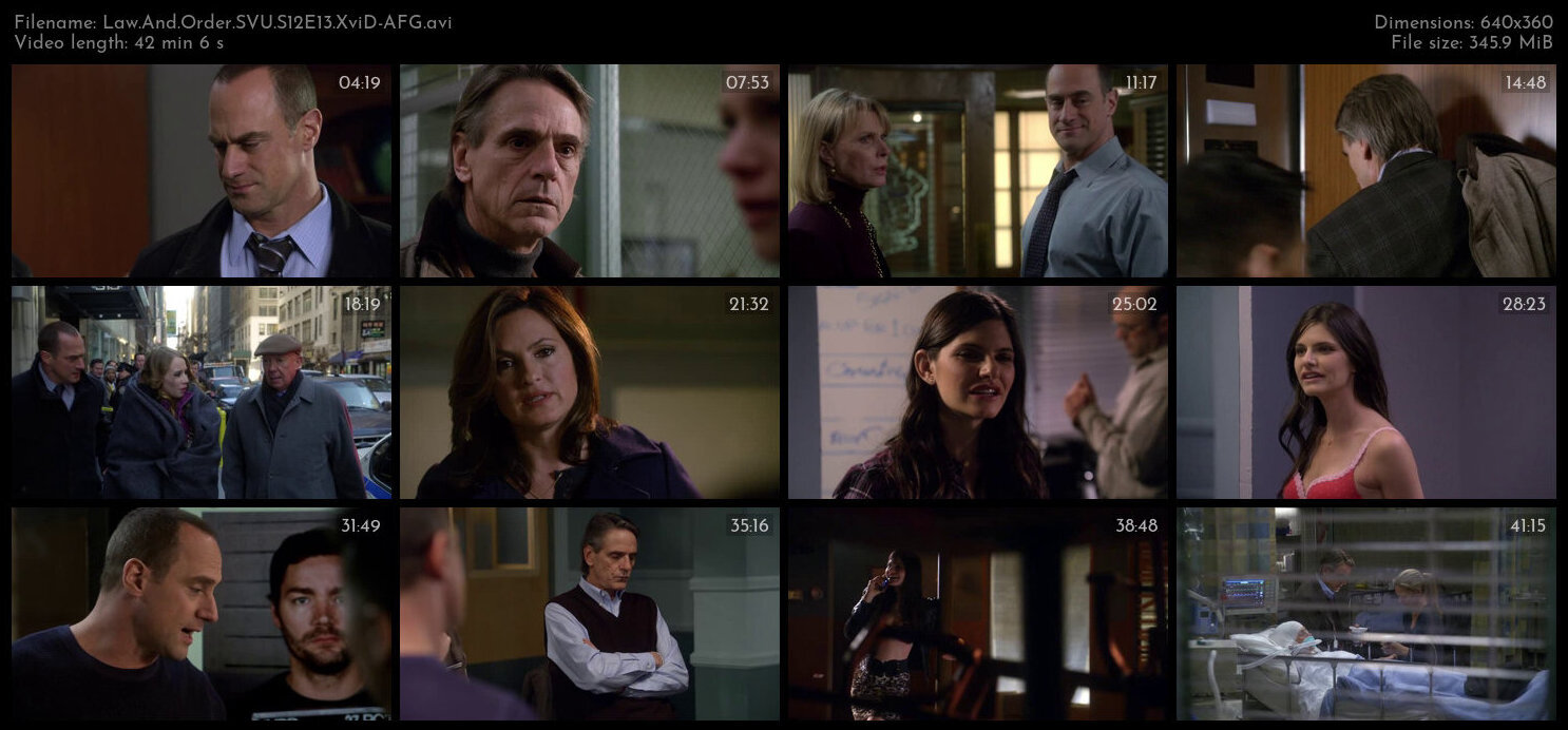 Law And Order SVU S12E13 XviD AFG TGx