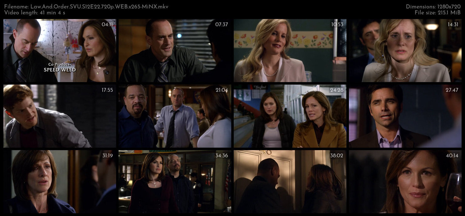 Law And Order SVU S12E22 720p WEB x265 MiNX TGx