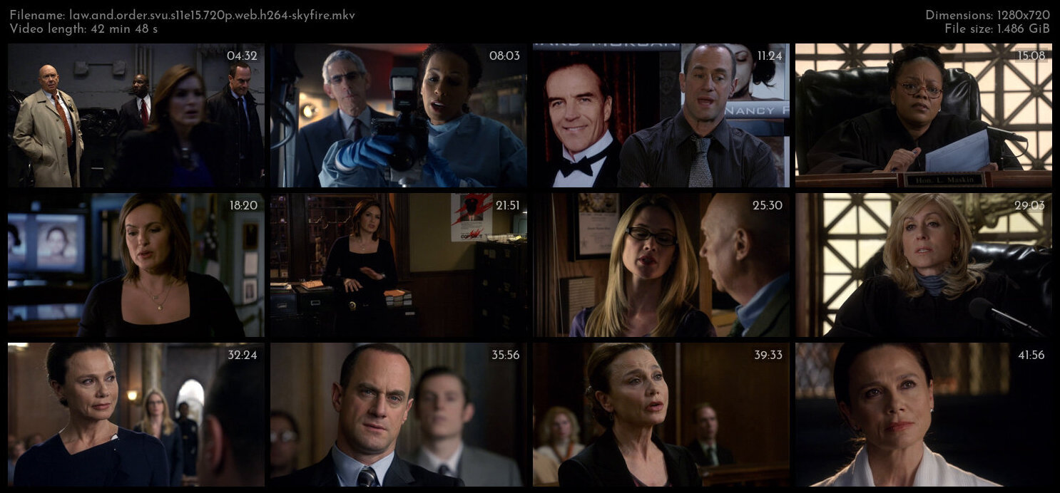 Law And Order SVU S11E15 720p WEB H264 SKYFiRE TGx