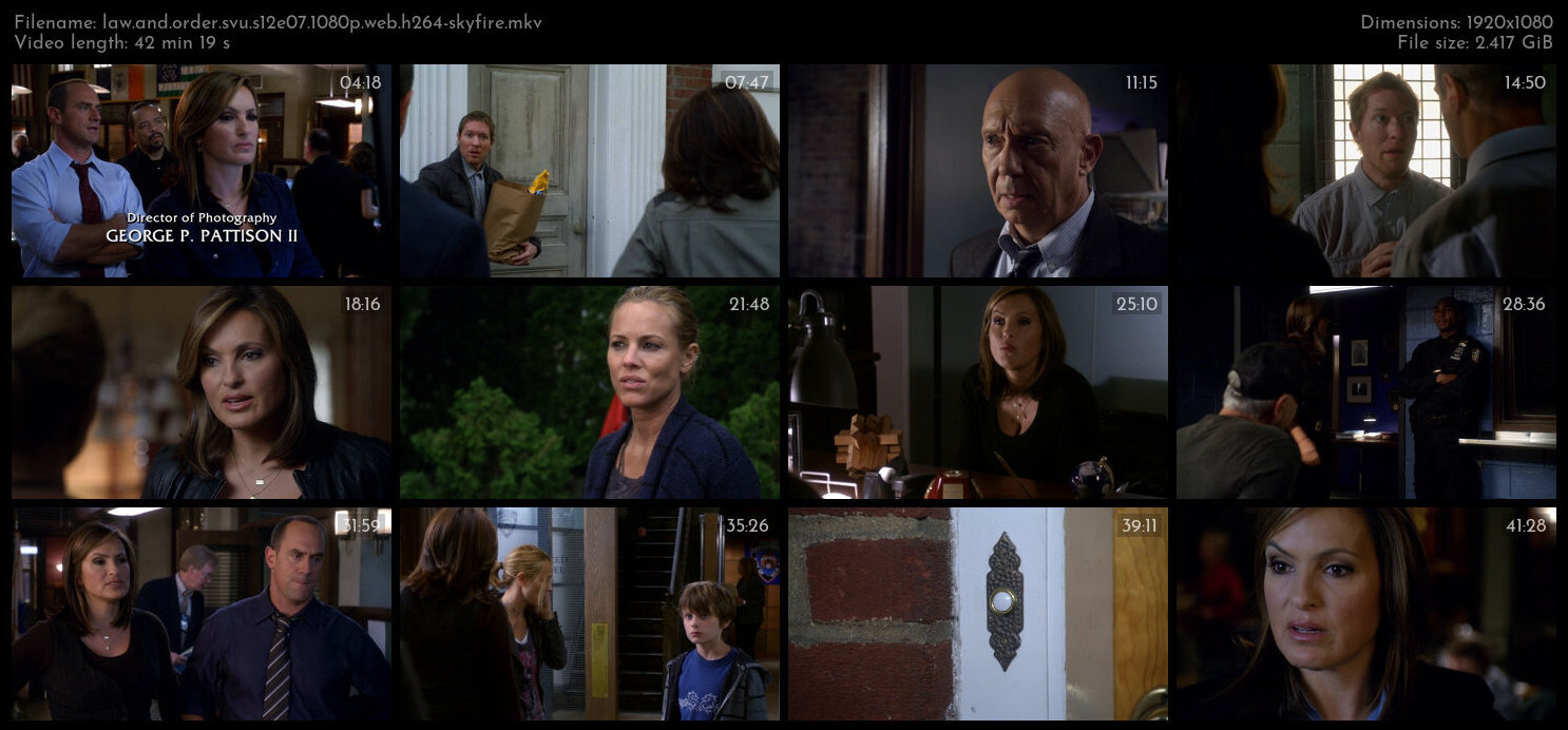 Law And Order SVU S12E07 1080p WEB H264 SKYFiRE TGx