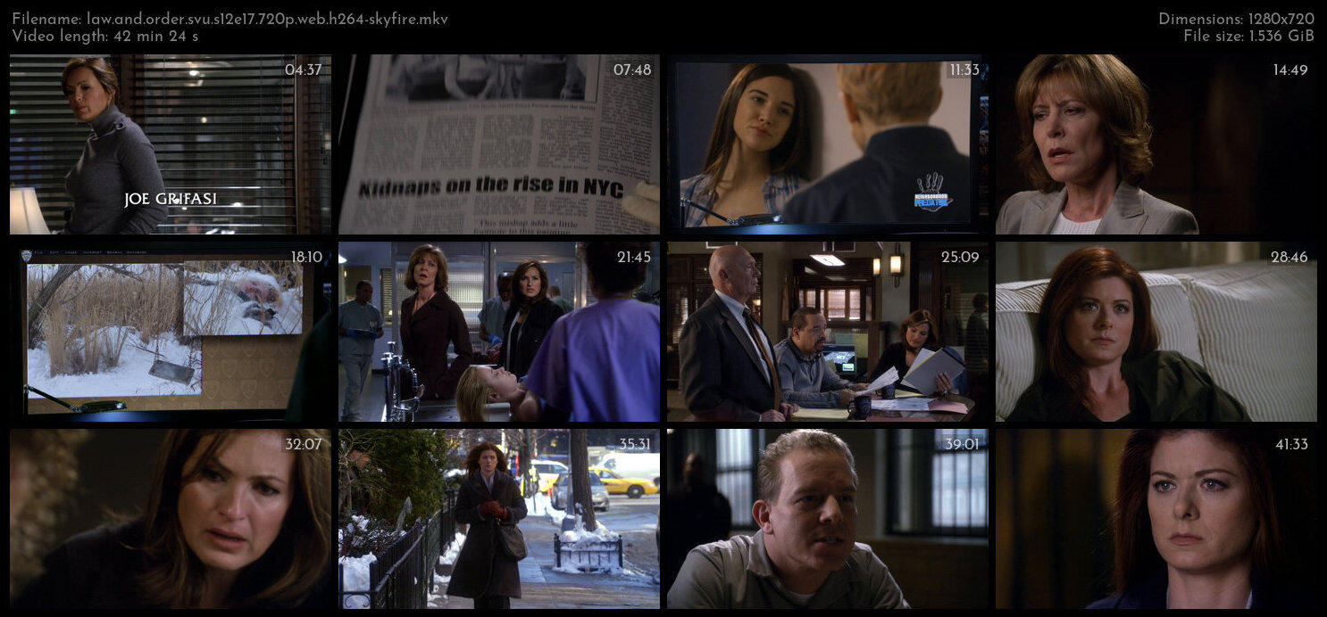 Law And Order SVU S12E17 720p WEB H264 SKYFiRE TGx