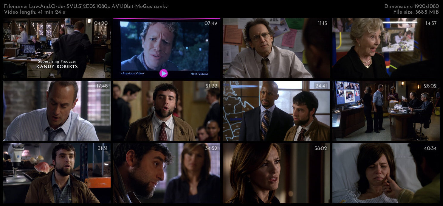 Law And Order SVU S12E05 1080p AV1 10bit MeGusta TGx