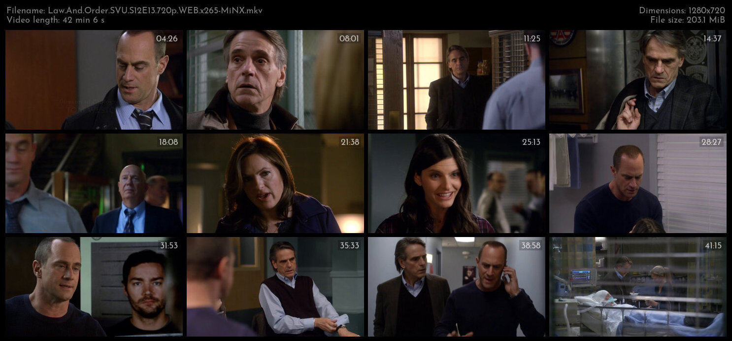 Law And Order SVU S12E13 720p WEB x265 MiNX TGx