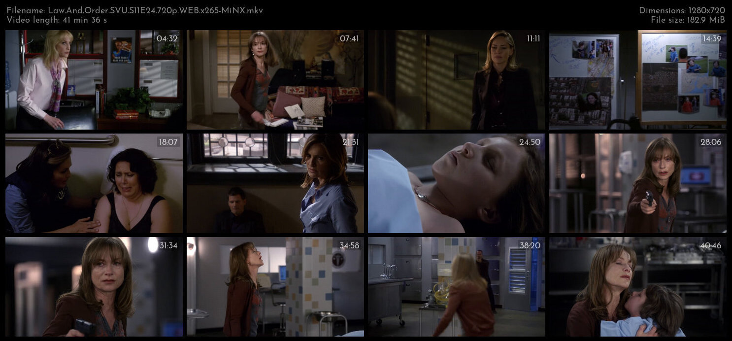 Law And Order SVU S11E24 720p WEB x265 MiNX TGx