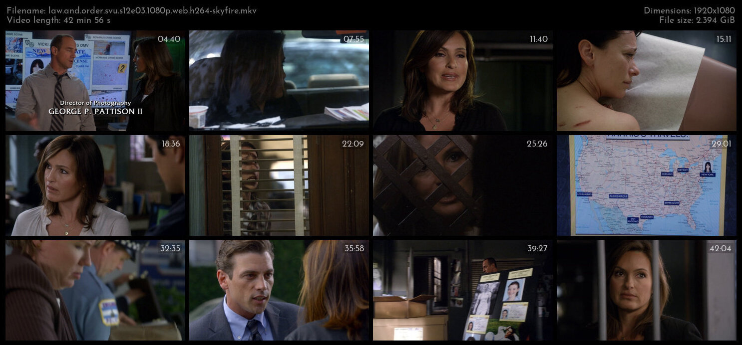 Law And Order SVU S12E03 1080p WEB H264 SKYFiRE TGx