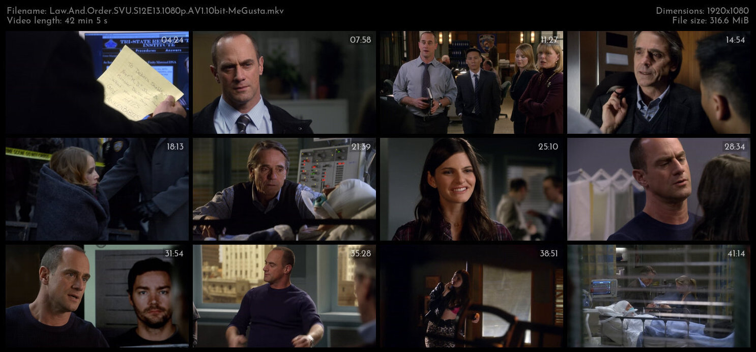 Law And Order SVU S12E13 1080p AV1 10bit MeGusta TGx