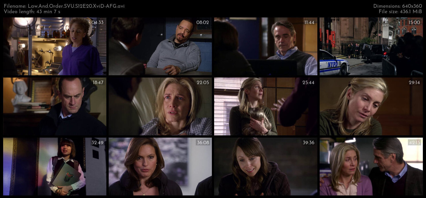 Law And Order SVU S12E20 XviD AFG TGx