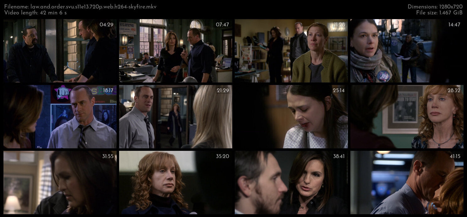 Law And Order SVU S11E13 720p WEB H264 SKYFiRE TGx