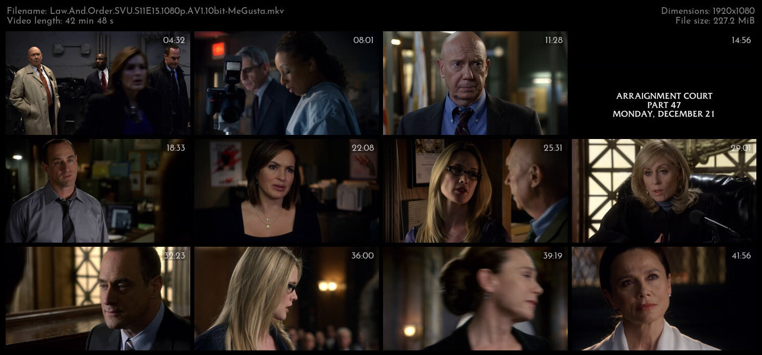 Law And Order SVU S11E15 1080p AV1 10bit MeGusta TGx