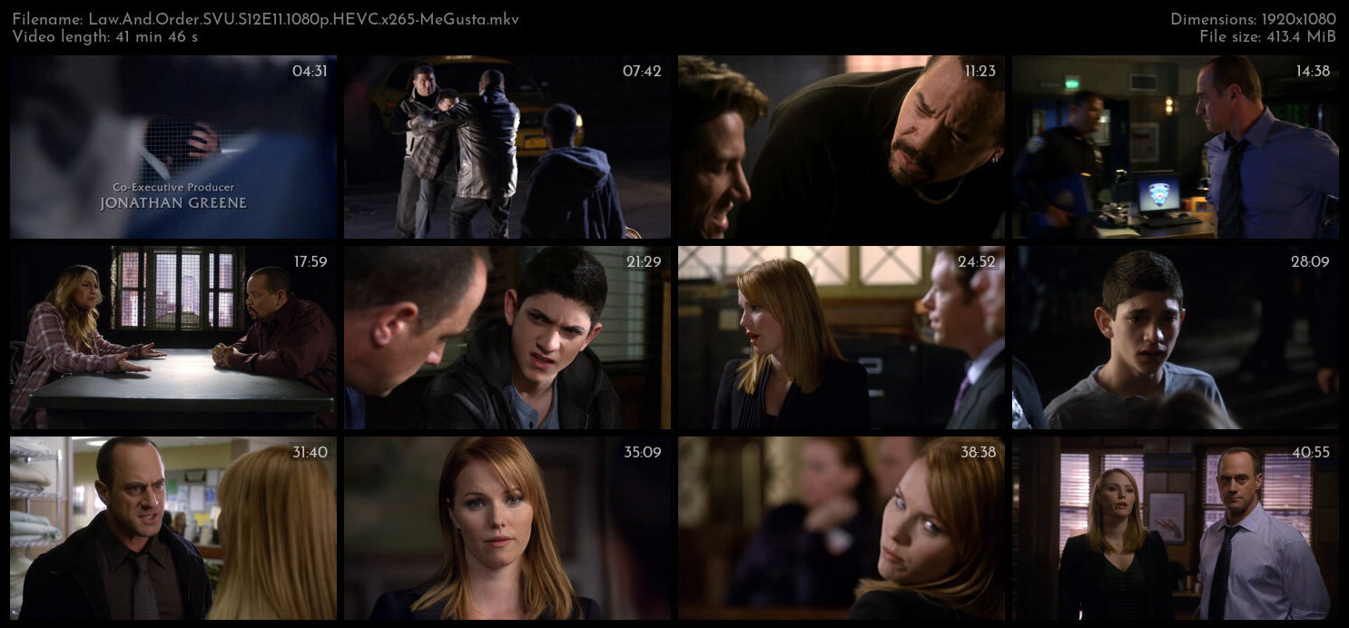 Law And Order SVU S12E11 1080p HEVC x265 MeGusta TGx