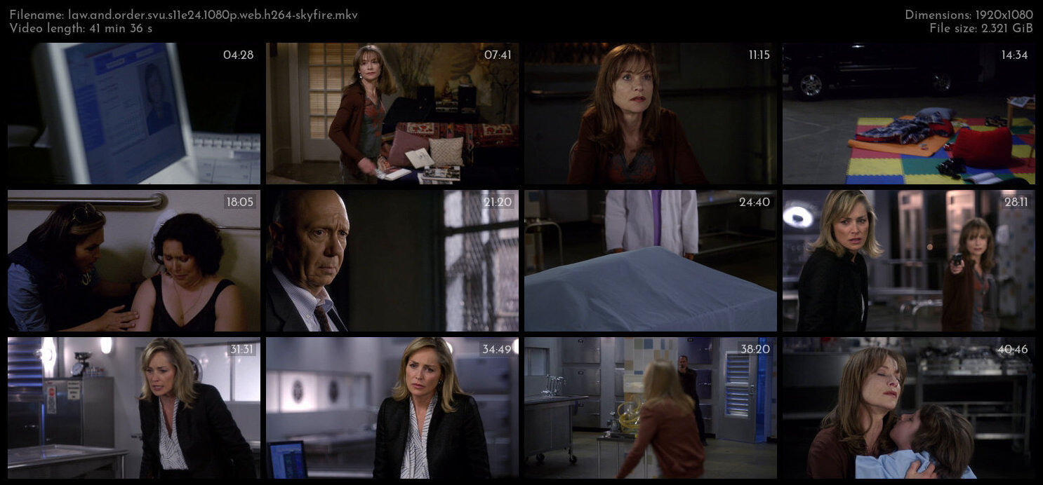 Law And Order SVU S11E24 1080p WEB H264 SKYFiRE TGx