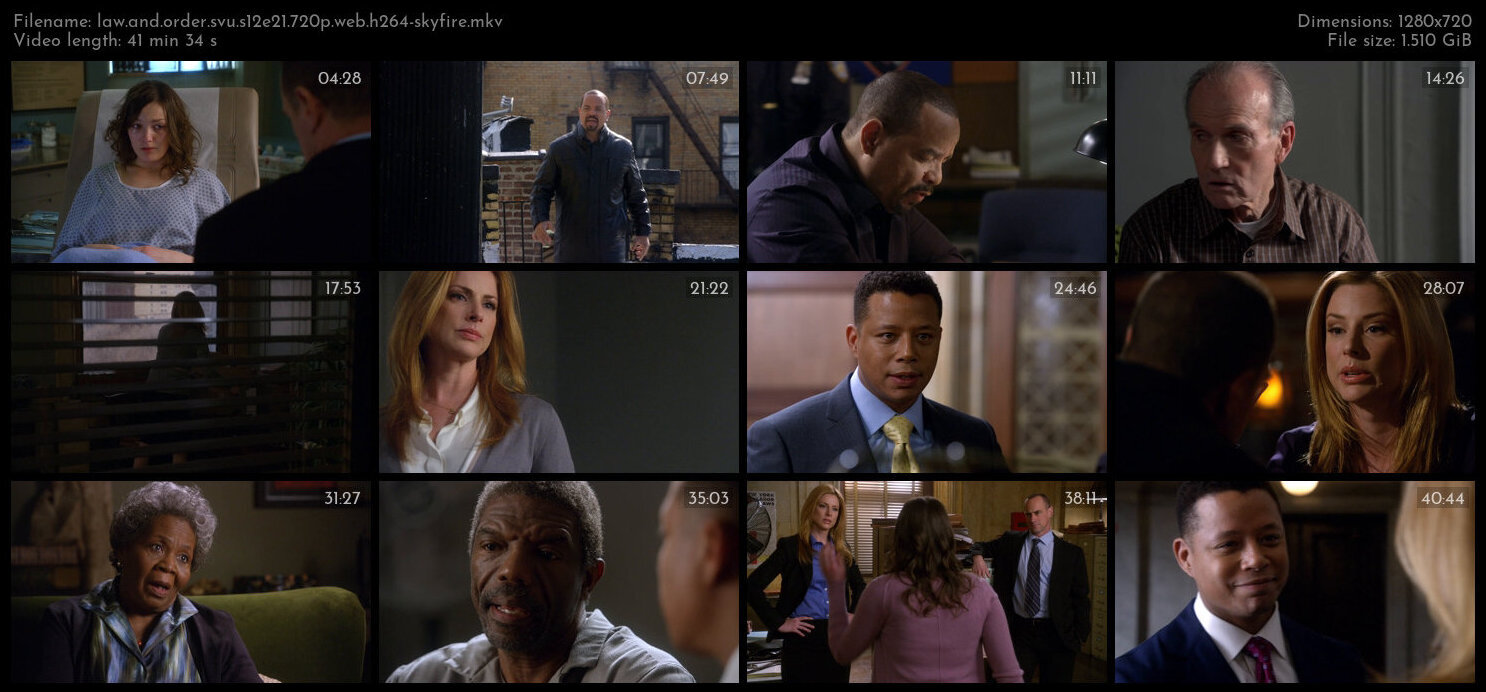 Law And Order SVU S12E21 720p WEB H264 SKYFiRE TGx