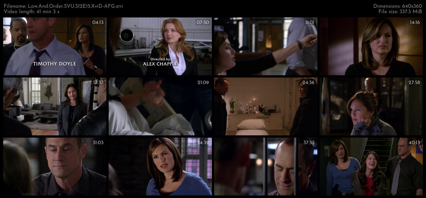 Law And Order SVU S12E15 XviD AFG TGx