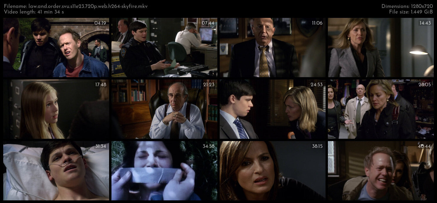 Law And Order SVU S11E23 720p WEB H264 SKYFiRE TGx