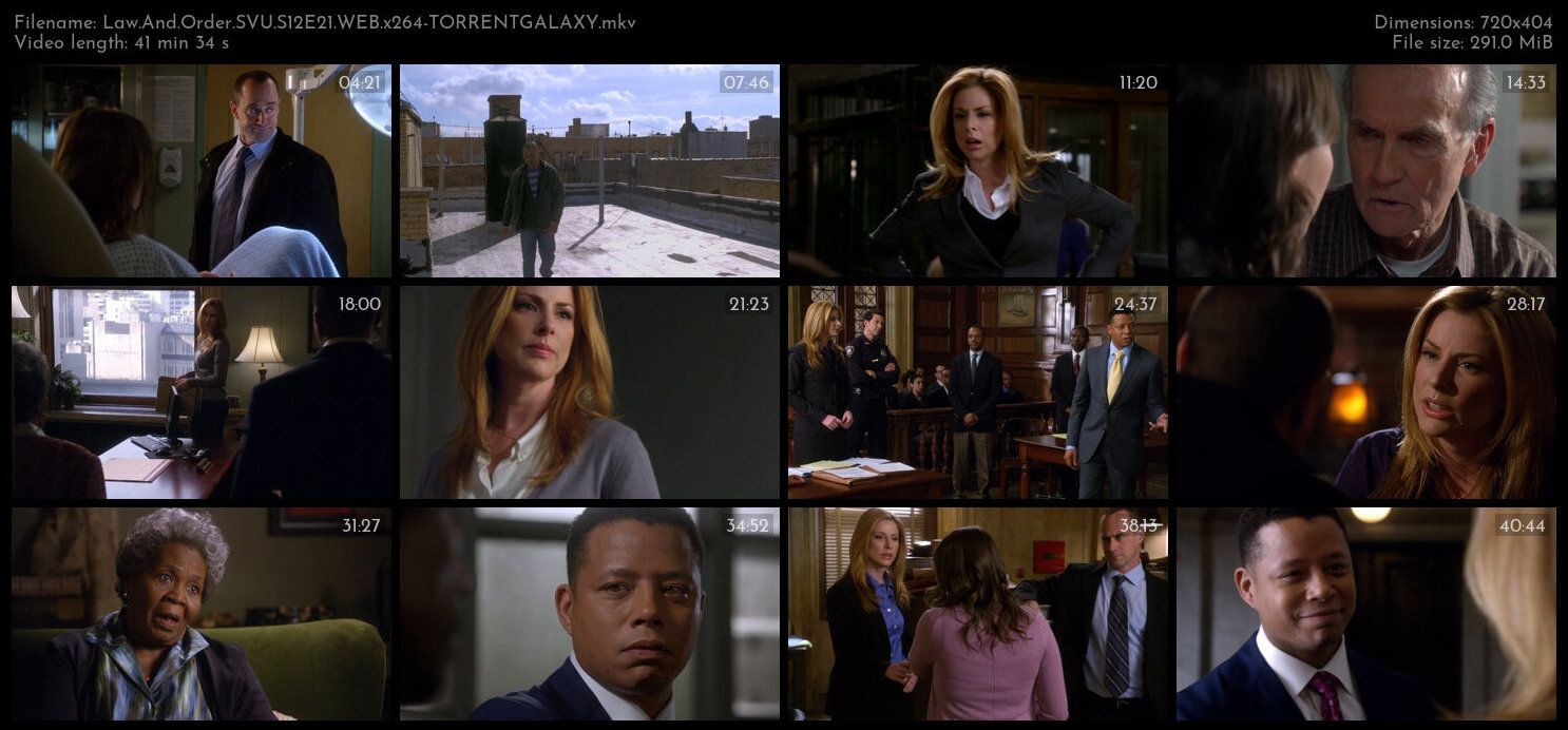 Law And Order SVU S12E21 WEB x264 TORRENTGALAXY