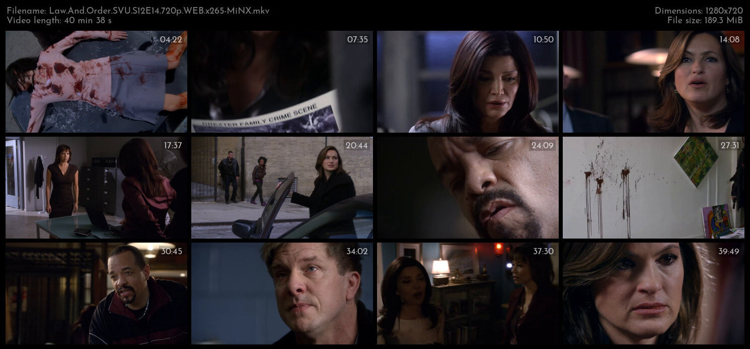 Law And Order SVU S12E14 720p WEB x265 MiNX TGx