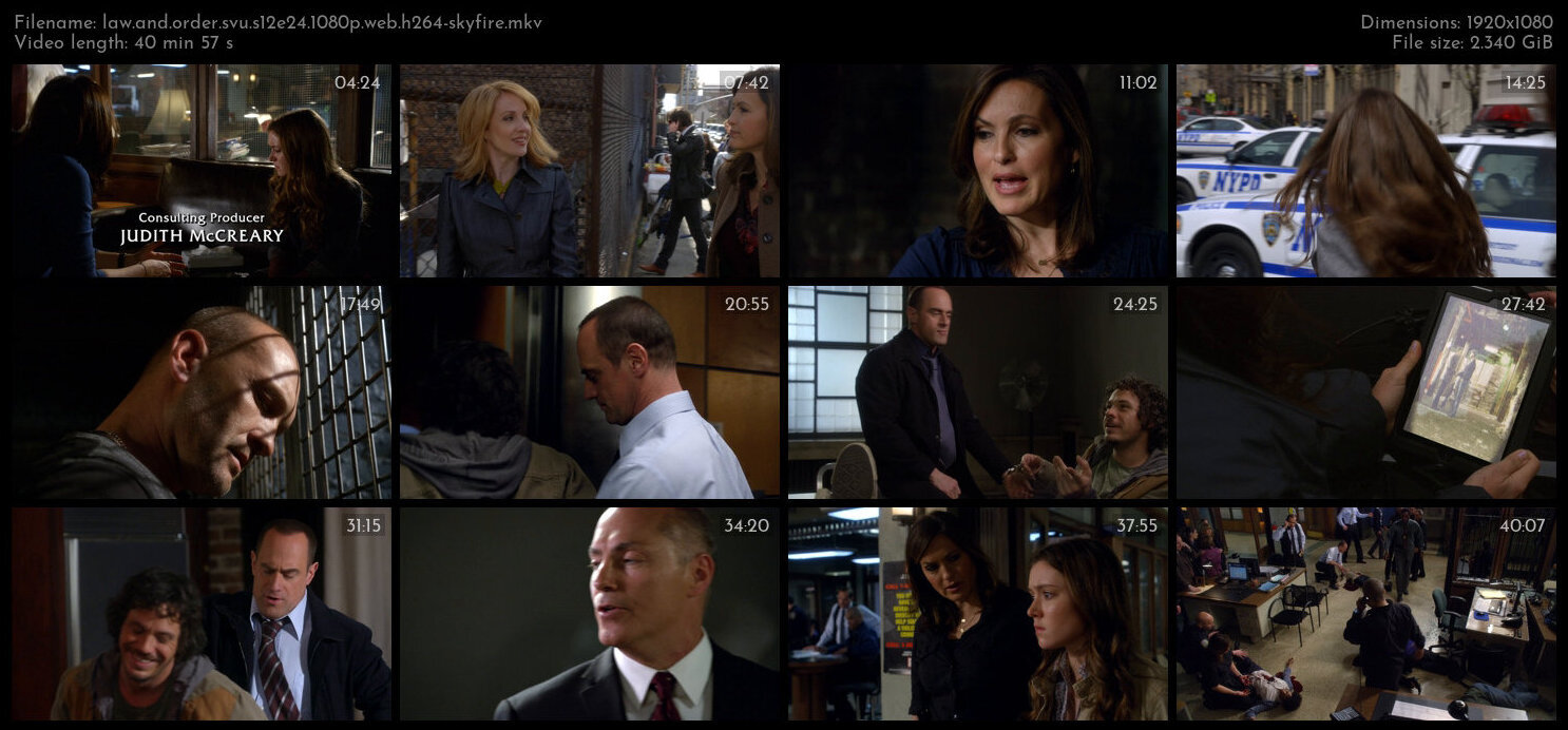 Law And Order SVU S12E24 1080p WEB H264 SKYFiRE TGx