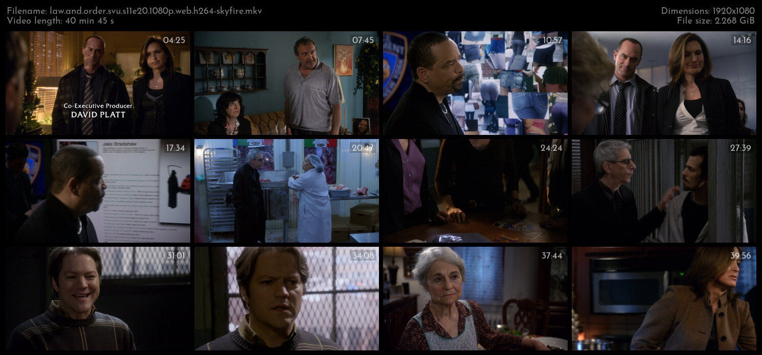 Law And Order SVU S11E20 1080p WEB H264 SKYFiRE TGx