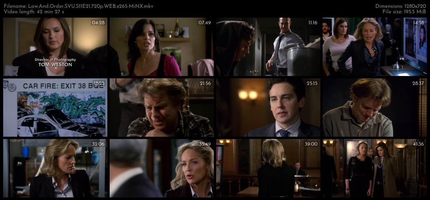 Law And Order SVU S11E21 720p WEB x265 MiNX TGx