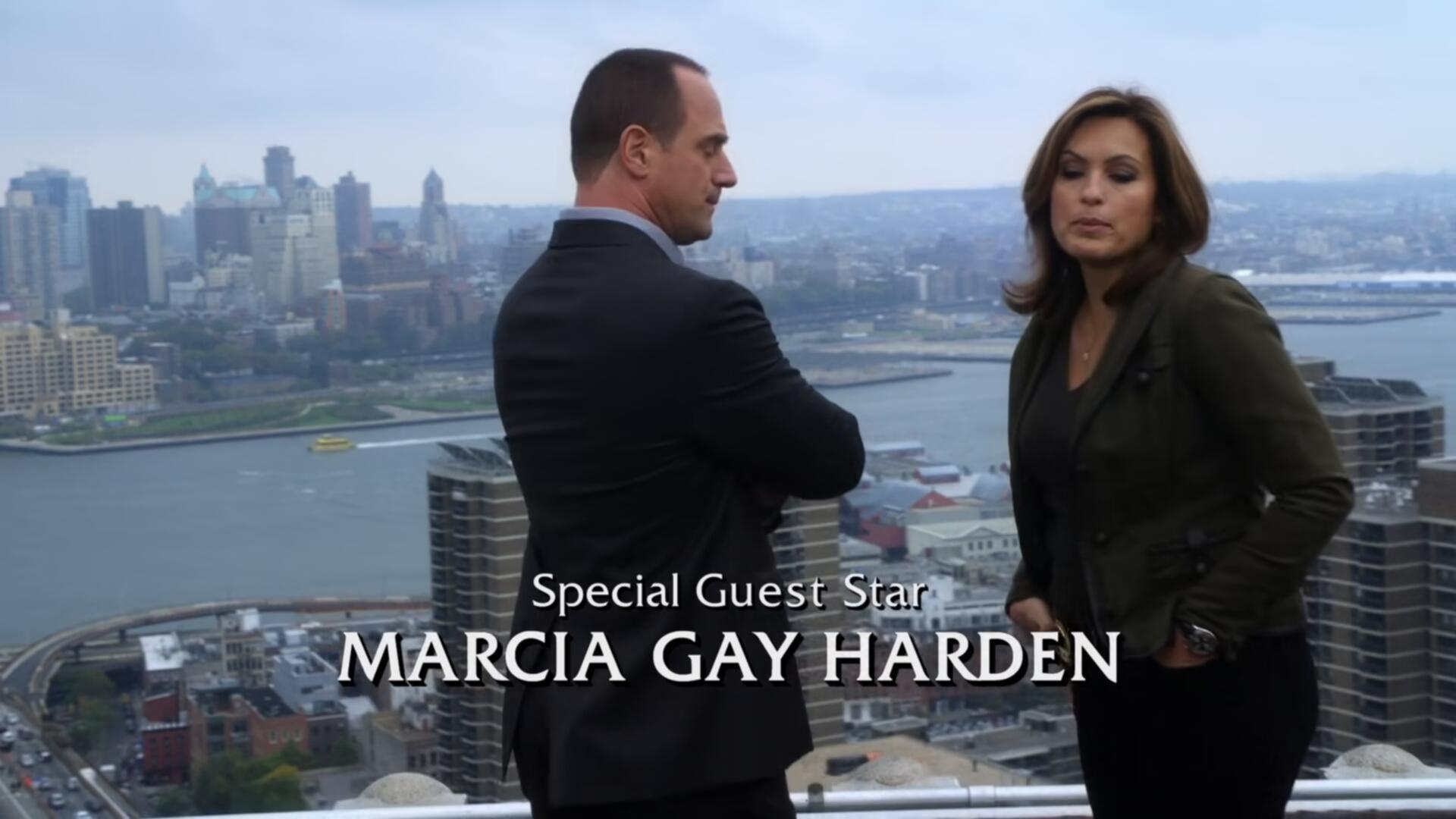 Law And Order SVU S12E08 1080p AV1 10bit MeGusta TGx