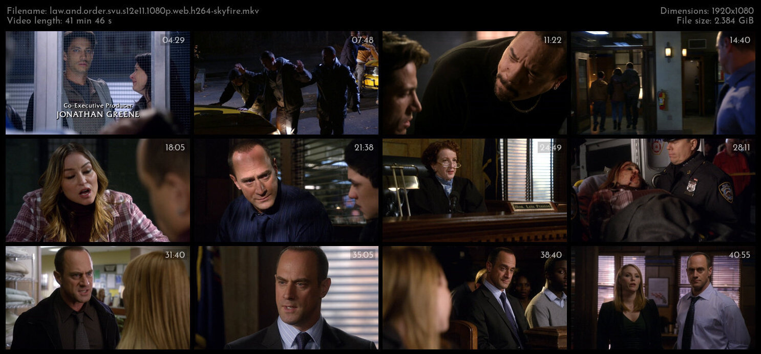 Law And Order SVU S12E11 1080p WEB H264 SKYFiRE TGx