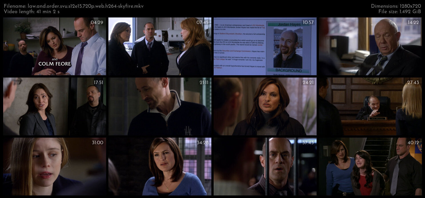 Law And Order SVU S12E15 720p WEB H264 SKYFiRE TGx