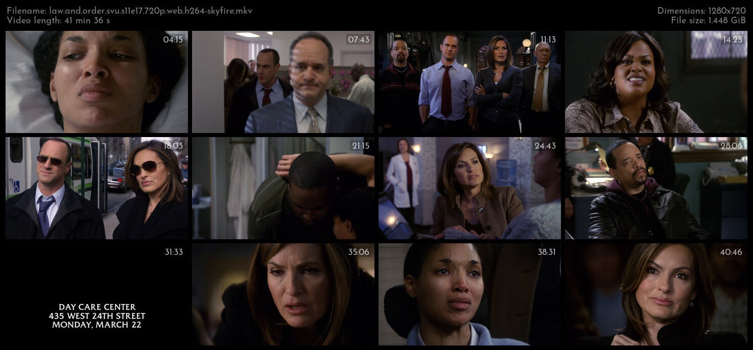 Law And Order SVU S11E17 720p WEB H264 SKYFiRE TGx