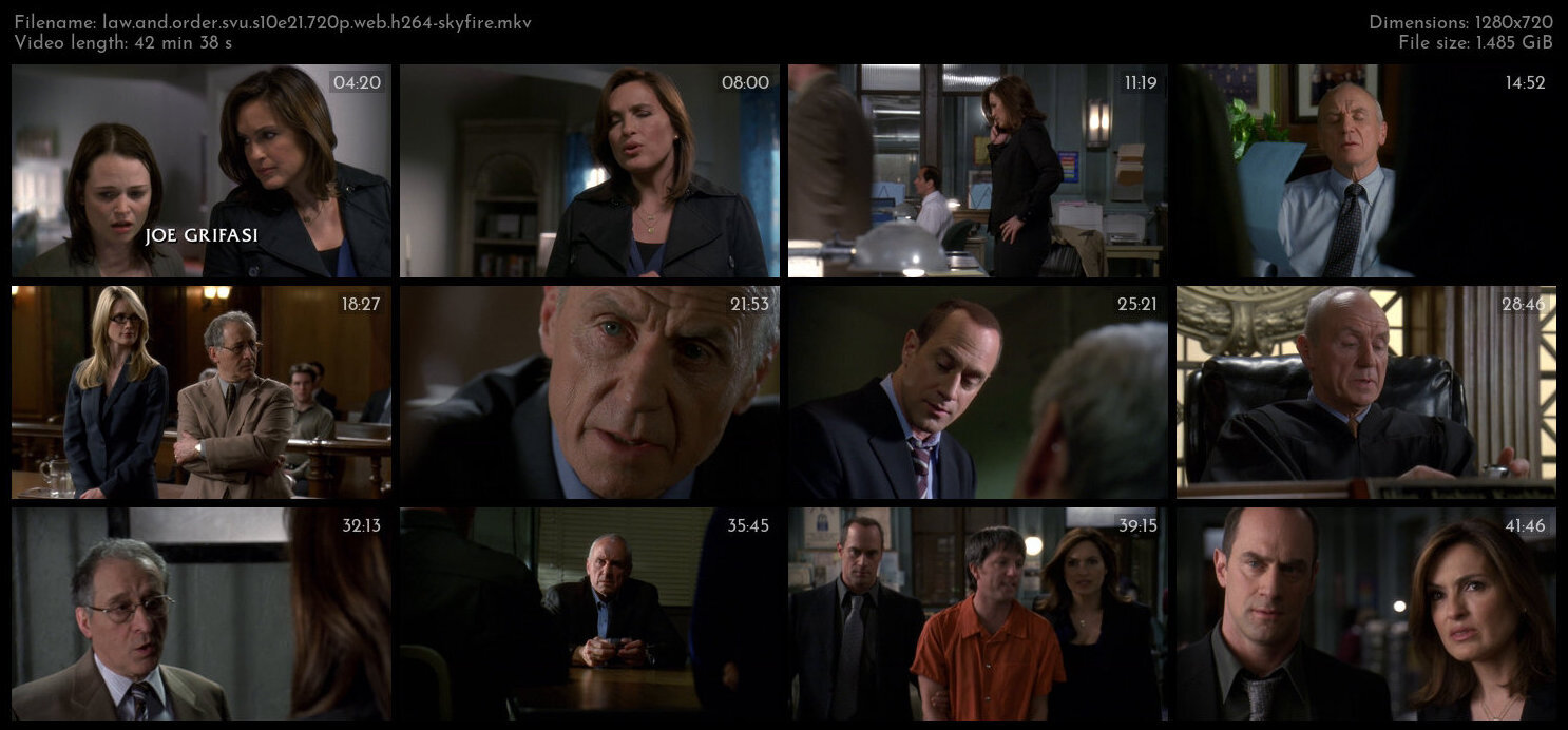 Law And Order SVU S10E21 720p WEB H264 SKYFiRE TGx