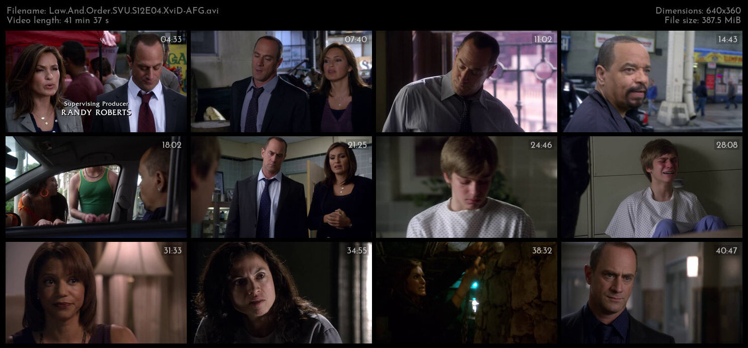 Law And Order SVU S12E04 XviD AFG TGx