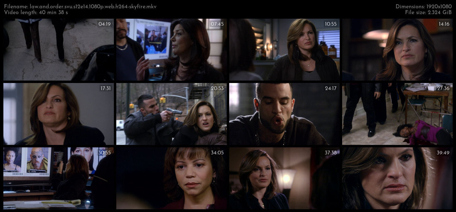 Law And Order SVU S12E14 1080p WEB H264 SKYFiRE TGx