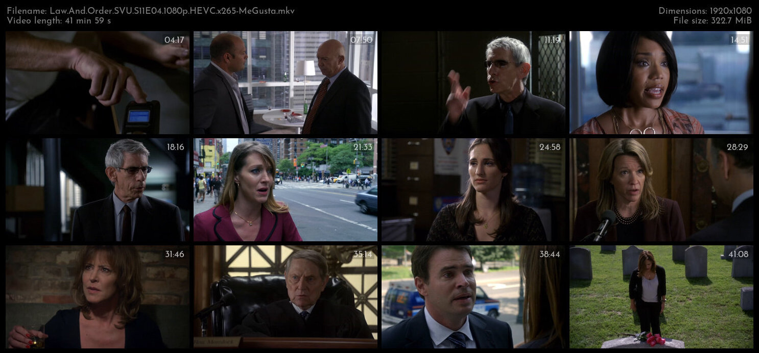 Law And Order SVU S11E04 1080p HEVC x265 MeGusta TGx