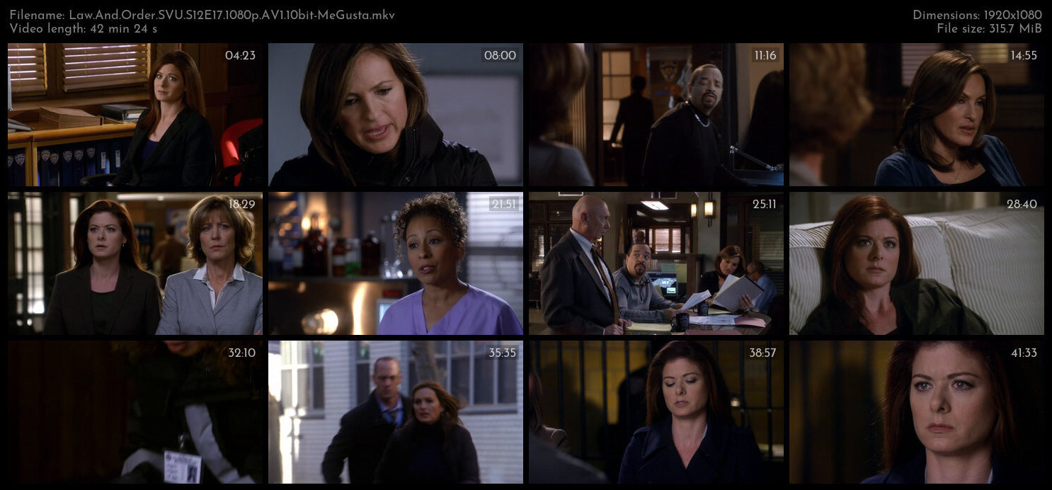 Law And Order SVU S12E17 1080p AV1 10bit MeGusta TGx