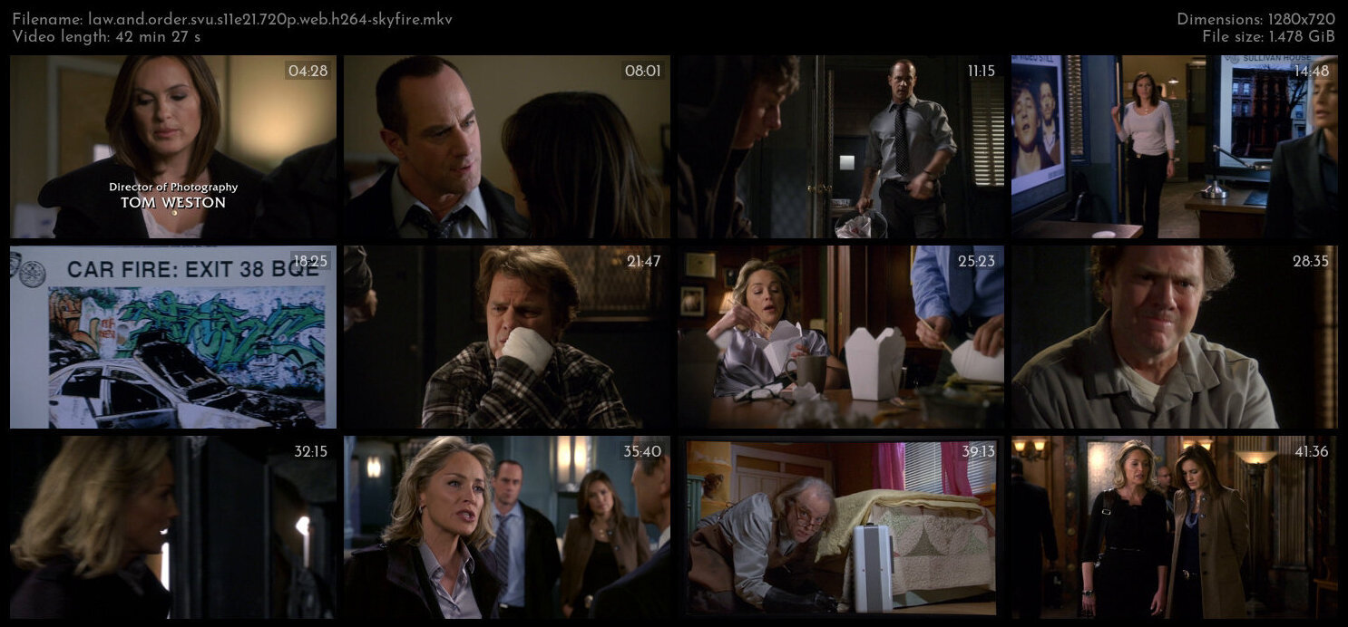 Law And Order SVU S11E21 720p WEB H264 SKYFiRE TGx