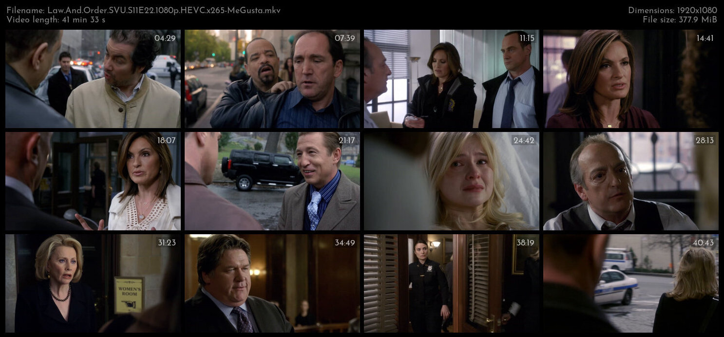 Law And Order SVU S11E22 1080p HEVC x265 MeGusta TGx