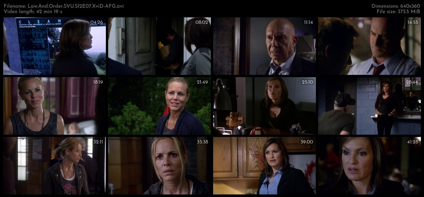 Law And Order SVU S12E07 XviD AFG TGx