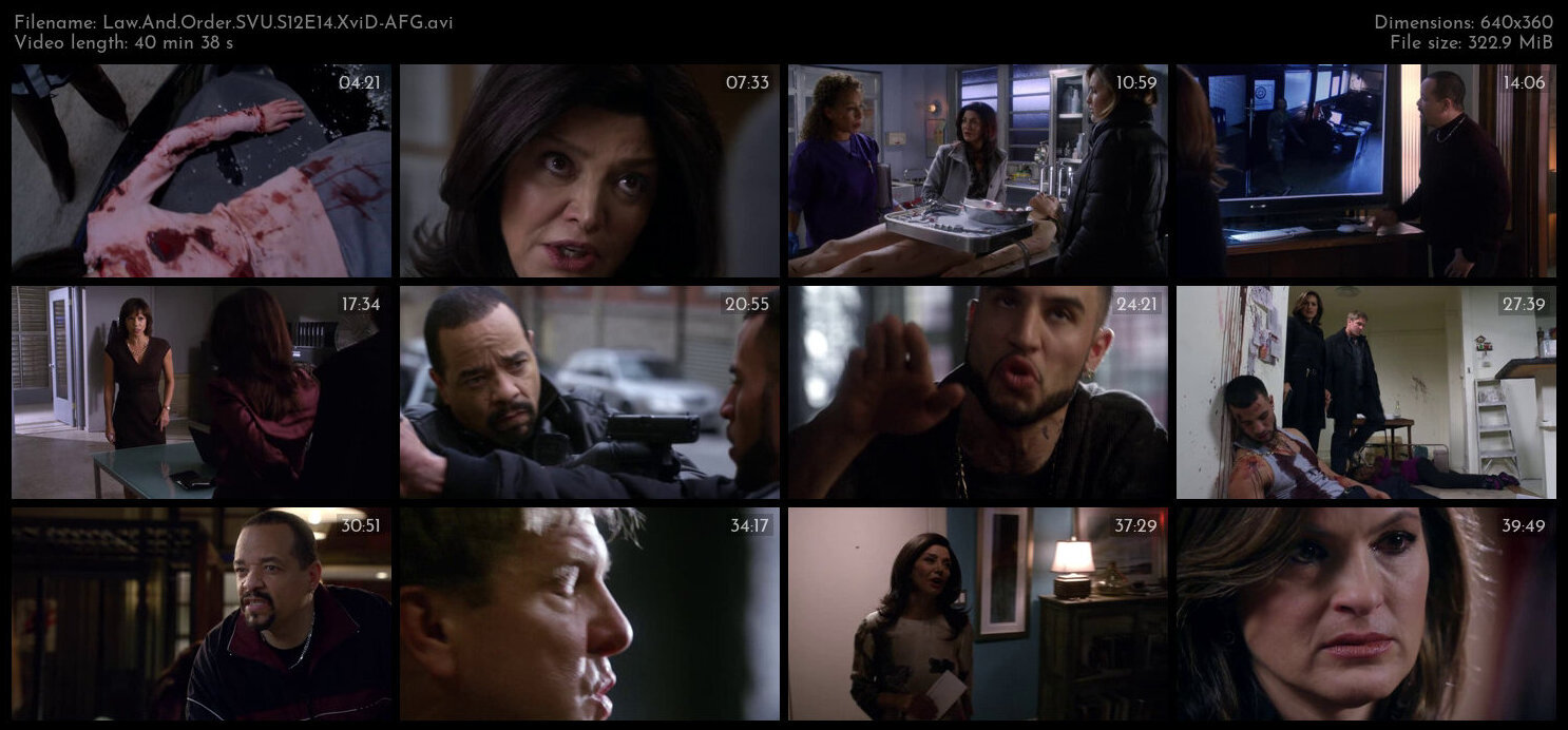 Law And Order SVU S12E14 XviD AFG TGx