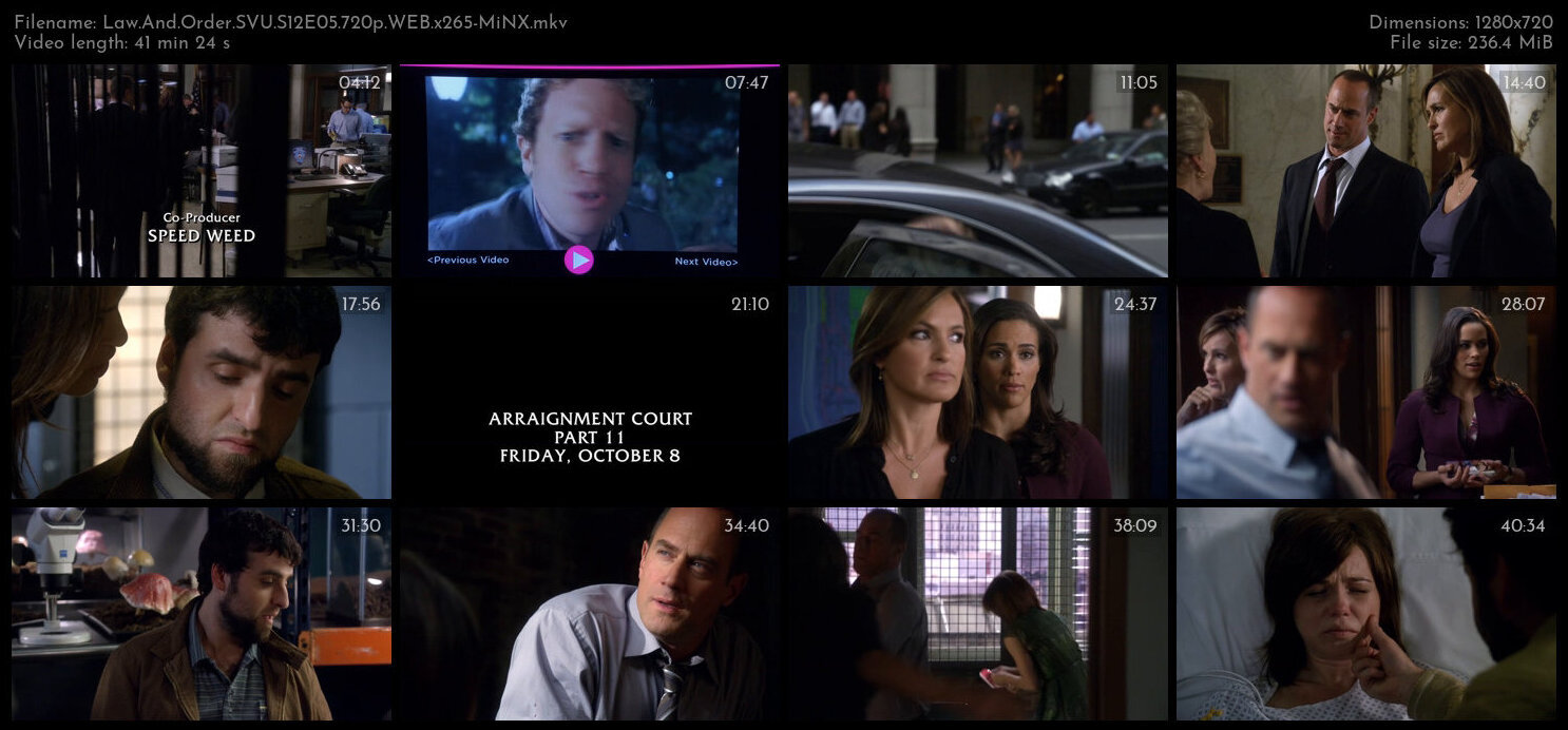 Law And Order SVU S12E05 720p WEB x265 MiNX TGx