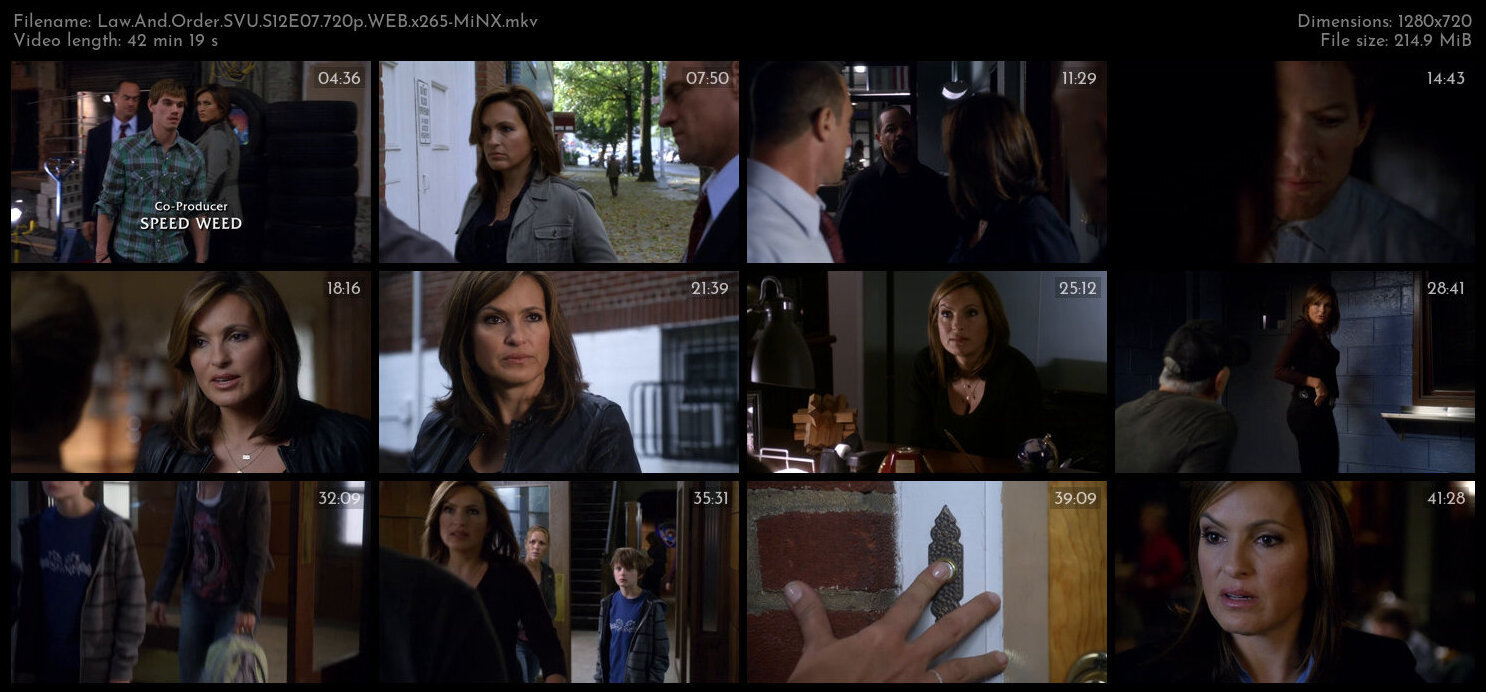 Law And Order SVU S12E07 720p WEB x265 MiNX TGx