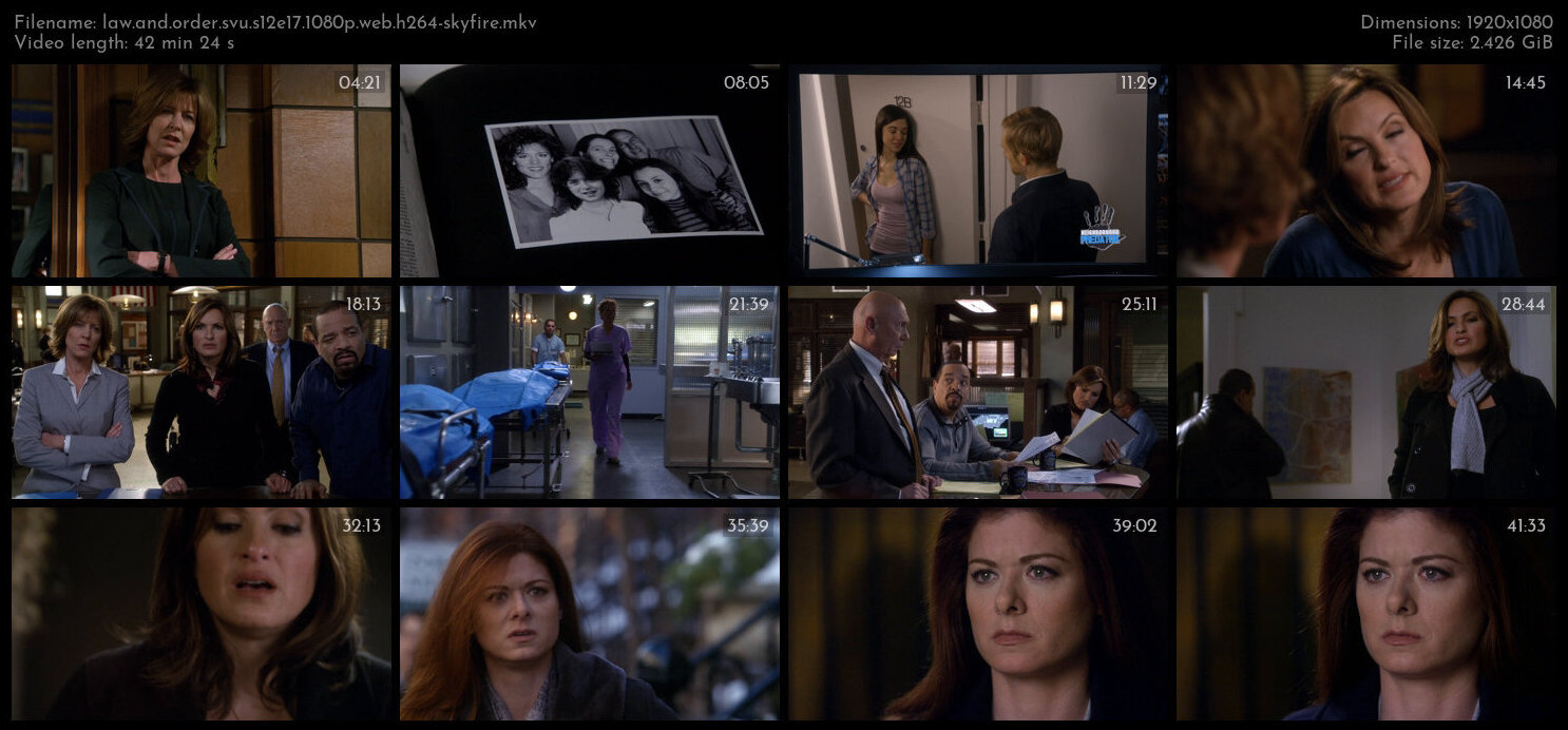 Law And Order SVU S12E17 1080p WEB H264 SKYFiRE TGx