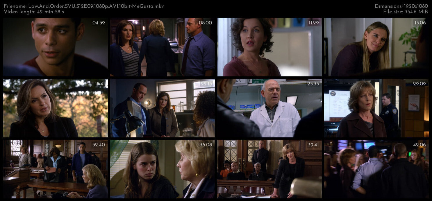 Law And Order SVU S12E09 1080p AV1 10bit MeGusta TGx