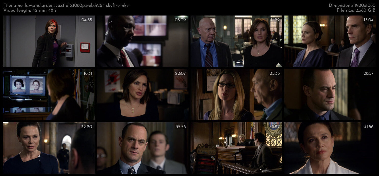 Law And Order SVU S11E15 1080p WEB H264 SKYFiRE TGx