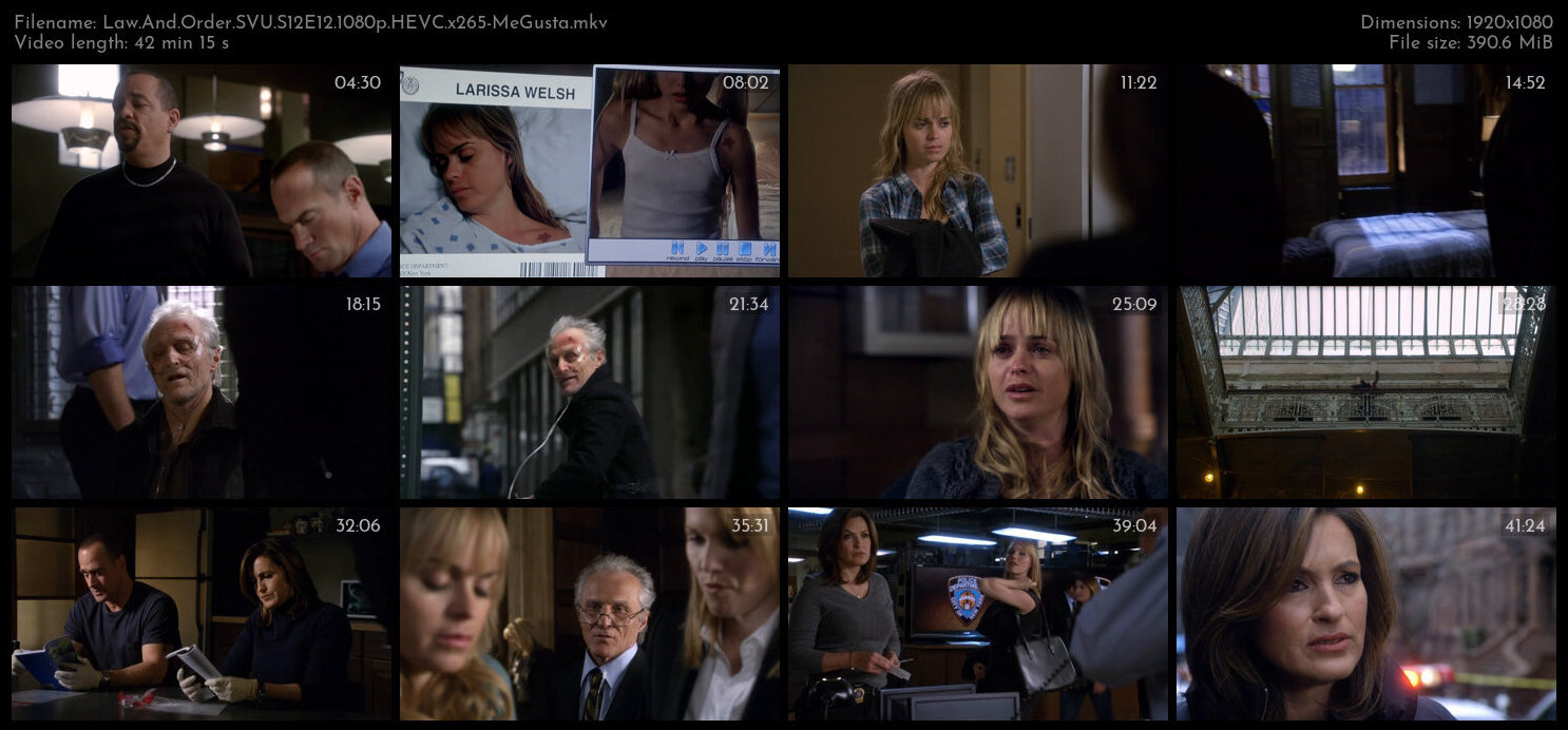 Law And Order SVU S12E12 1080p HEVC x265 MeGusta TGx