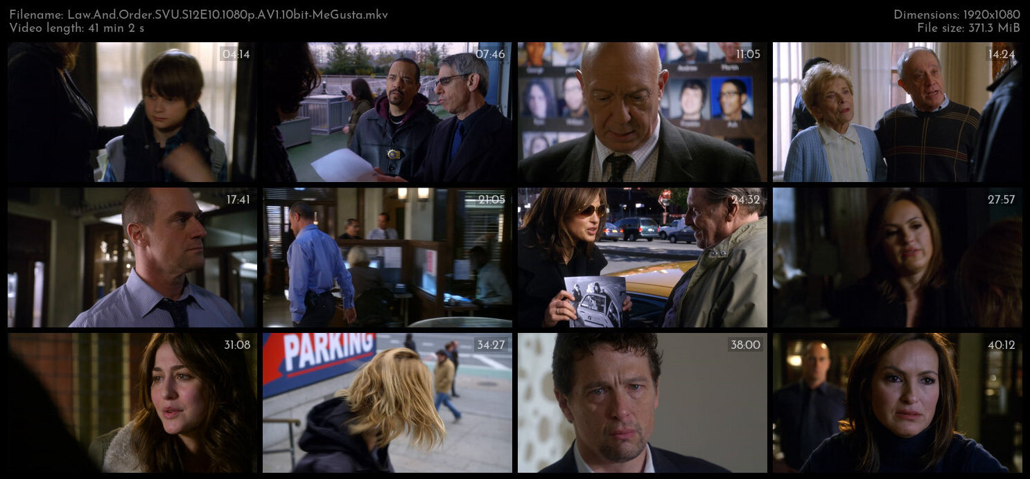 Law And Order SVU S12E10 1080p AV1 10bit MeGusta TGx