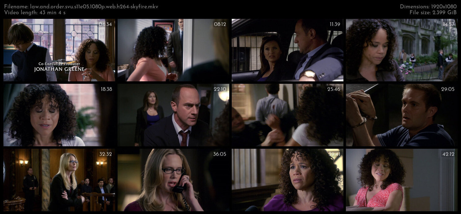 Law And Order SVU S11E05 1080p WEB H264 SKYFiRE TGx