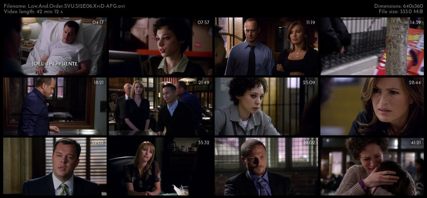 Law And Order SVU S12E06 XviD AFG TGx